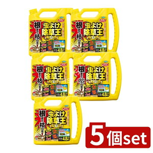 _r[TL^y5Zbgz t}L[ J_܂Ō͂炷悯v~A [Pie/4800L] | t}L[ 悯  v~A   OzT[g Aގ