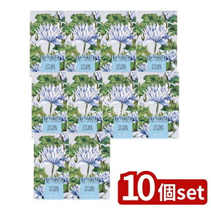 �_���r���[���T�L�^�y10�Z�b�g�z ���{���� �ԕ��v���`�i �u���[�X�C���� �o���l [�P�i���e��/100g] | ���{���� �u���[�X�C���� ������ �ԕ��v���`�i ���� ���{�� ���ފ� ���~ ������ �䋟 ��