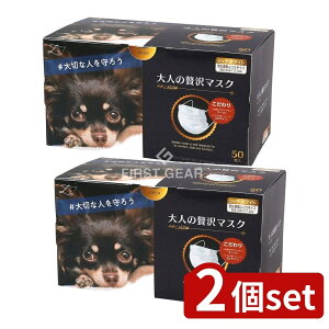 y2Zbgz cY l̂}XN [Pie/50] | sDz}XN ̃}XN lґ}XN ĝă}XN v[c}XN zCg}XN l}XN Y}XN f