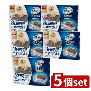 y5Zbgz jE`[ fIV[gL{{̃ZbgCh [Pie/1] | fIV[g gCVXe L{ j`[ pgC RۃtB^[ L}bg ZԌ