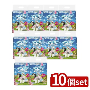 y10Zbgz jE`[ }i[EFA̎qpM [Pie/34] | }i[EFA p ނ j`[ sN{ ̎qp { ނ ybgނ  }[L