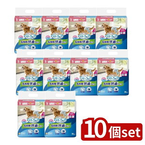 y10Zbgz jE`[ }i-EFApIcS [Pie/30] | Ic }i[EFA ނ p jppނ  Ic z ʋCV[g TT 