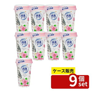 _r[TL^y 9Zbgz jE`[ LgC܂Lr[Yt[ [Pie/450ml] | L LgC r[Y t[  LgC܂ r[YL