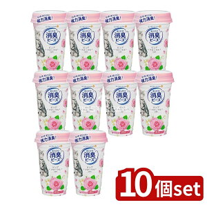 _r[TL^y10Zbgz jE`[ LgC܂Lr[Yt[ [Pie/450ml] | L LgC r[Y t[  LgC܂ r[YL 