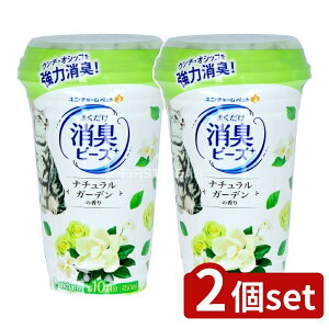 _r[TL^y2Zbgz jE`[ LgC܂Lr[YK[f [Pie/450ml] | L LgC  r[Y j`[ Lp gC̍L i`K