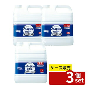 _r[TL^y 3Zbgz CInCW[ Ɩp `[~[ }WJ + vXvtGcVi  [Pie/3800ml] | `[~[ }WJ  Hp 