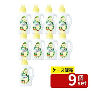 _r[TL^y 9Zbgz CI Âgbv RۃvX VCj[[Y { [Pie/850g] | Âgbv  VCj[[Y A܂ t[