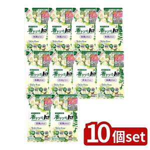 y10Zbgz CI Âgbv RۃvX VCj[[Y ߂ [Pie/500g] | CI _ܓ Rplus Â  VCj[[Y  