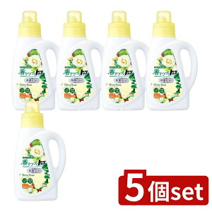 _r[TL^y5Zbgz CI Âgbv RۃvX VCj[[Y { [Pie/850g] | Âgbv  VCj[[Y A܂ t[ 