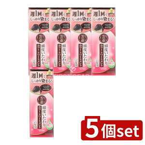 _r[TL^y5Zbgz [g 50̌b 炢J[g[gg i`ubN [Pie/150g] | [g  J[g[gg i`u