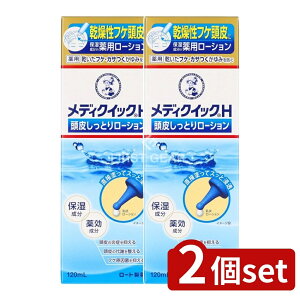 y2Zbgz [g fBNCbNH 炵Ƃ胍[V [Pie/120ml] | \[^ э XJvPA 烍[V 򕔊Oi p[V fBNCbNH 