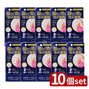 y10Zbgz [g \[^ nhx[ r[eB[v~A b`lC [Pie/12g] | \[^ lCPA nhx[ eN[ ܃N[ 񖇒