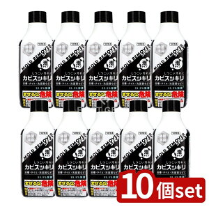 y10Zbgz PbgΌ JrXbLXv[t֗p [Pie/400ml] | PbgΌ JrXbLXv[ A^Cv n[u̍ JrXv[ Xv[^Cv  oXN[