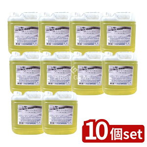 y10Zbgz PbgΌ ƖpoXN[i[ [Pie/4L] | PbgΌ oXN[i[ Ɩp  C   L ꗎƂ  A Y S 