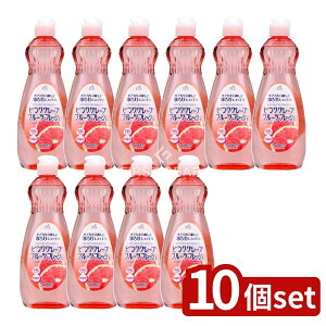 y10Zbgz PbgΌ _tbVsNO[vt[c [Pie/600ml] | PbgΌ Hp _ sNO[vt[c pi Lb`pi H 