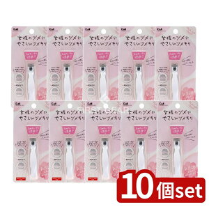 _r[TL^y10Zbgz L KQ2040A[`cL [Pie/1] | L cL ܐ؂ A[`cL KQ2040  ܂₷ XeX S ܃PA l 3DA[` | 