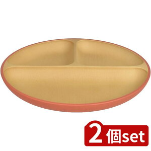 2set Jm[ EARTHCOLOR Rۃ`v[g RD | Rۃ`v[g H@Ή dqWΉ { ؖڒ k H `M ی`  킢 d؂M 3d؂ v[g y 