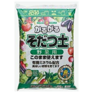  邪邻y 25L | ƒ؉ K[fjO e 엿