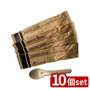 y10ZbgzKs(Ks) oKXXv[14cm 5{x[W | Xv[ ĝăXv[ ɗDXv[ TgELr oKXXv[ x[W 14cm HipXv[ GRXv[ RX
