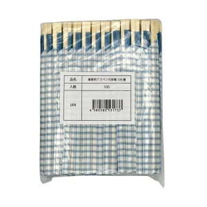 Ks(Ks) ƖpAXy\100V | 蔢 Ɩp AXy ĝĔ 100V Zbg sy ٓ p[eB[ i` HiƖp Ɩp Ղ蔢 BBQ Cxgp fBX