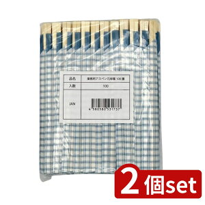 2set Ks(Ks) ƖpAXy\100V | 蔢 Ɩp AXy ĝĔ 100V Zbg sy ٓ p[eB[ i` HiƖp Ɩp Ղ蔢 BBQ Cxgp 