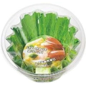 GG[pbP[WO ^XP[X  | ^XP[X  ٓJbv Jbv e Jbv ^X P[X { dqWΉ ׂƃP[X ٓ