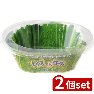 2set GG[pbP[WO A~ ^XP[X | ^XP[X   ٓp A~ ^XP[X OHA~jE ٓ `{bNX P[X 