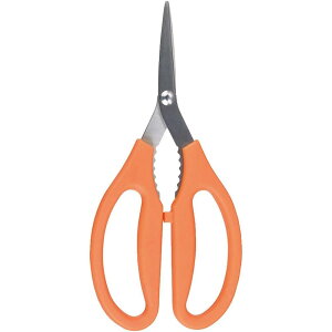 p[ C-3819 ֗ אnAJjoT~(IW) | ɃoT~ אnJjoT~ Hސ؂ XeX| Hi ֗ p[ sv y  傫ڃObv ܊J 