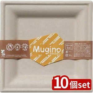 y10ZbgzV muginoXNFA?v[g20cm5P | XNGAv[g  v[g 20cm oKX i` H GR Hie fBbV JWAe[u Hpi Lb`pi t