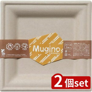 2set V muginoXNFA?v[g20cm5P | XNGAv[g  v[g 20cm oKX i` H GR Hie fBbV JWAe[u Hpi Lb`pi t v[