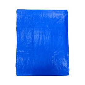 ブルーシート 厚手 #3000 10×10m [重量約14.27kg/1枚入] 約60.5畳/ハトメ数44(90cmピッチ) 工事 保護 補修 養生 レジャー 多用途カバー【在庫有り】