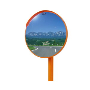 ibNKS(NAC)@ANJ[u~[@ی^@800ʁ@|[76.3×4.0m@Ӕʔ@[@l][ʓrς]