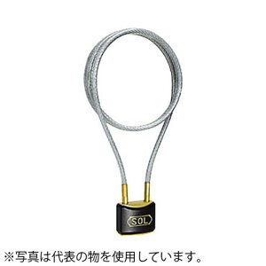 \[@No.3800 C[bN 30mm@C[t싞@ꌮ@Pi