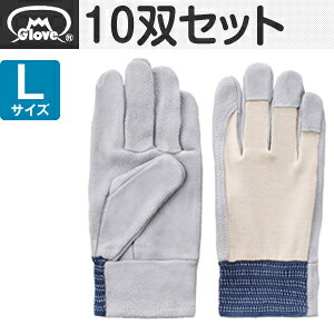 xmO[u   bX EX-120 LTCY[1226] 10oZbg :FG0020