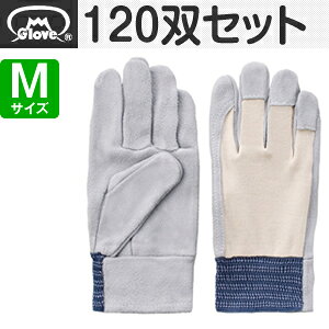 xmO[u   bX EX-120 MTCY[1227] 1120oZbg:FG2702