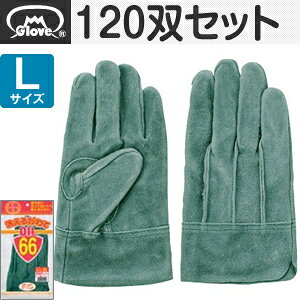 xmO[u  􂦂 IC66 wD LTCY[5311] 1120oZbg :FG0215