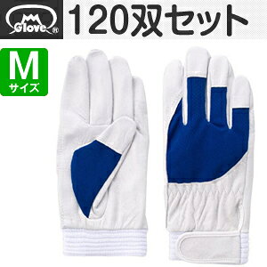 xmO[u  AX[g F-505 ؔNXg u[ MTCY[5871] 1120oZbg :FG7105