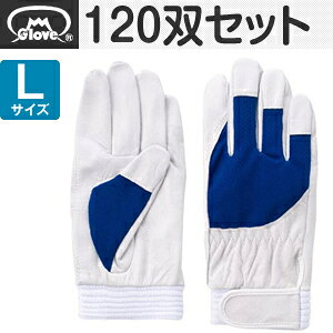 xmO[u  AX[g F-505 ؔNXg u[ LTCY[5872] 1120oZbg :FG7204