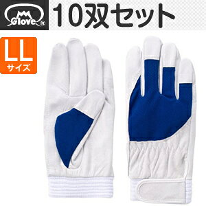 xmO[u  AX[g F-505 ؔNXg u[ LLTCY[5873] 10oZbg :FG7303