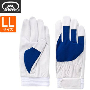 xmO[u  AX[g F-505 ؔNXg u[ LLTCY[5873] 1o :FG7303