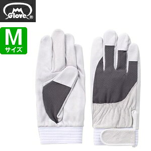 xmO[u  AX[g F-505 ؔNXg O[ MTCY[5875] 1o :FG7501