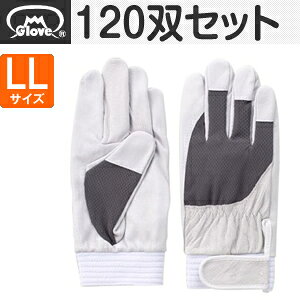 xmO[u  AX[g F-505 ؔNXg O[ LLTCY[5877] 1120oZbg :FG7709