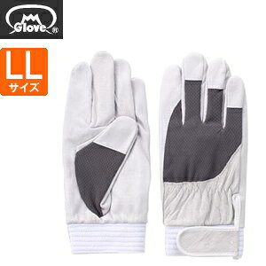 xmO[u  AX[g F-505 ؔNXg O[ LLTCY[5877] 1o :FG7709