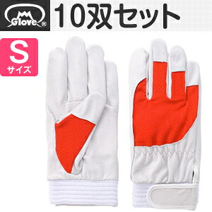 xmO[u  AX[g F-505 ؔNXg bh STCY[5878] 10oZbg:FG7808