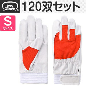 xmO[u  AX[g F-505 ؔNXg bh STCY[5878] 1120oZbg:FG7808