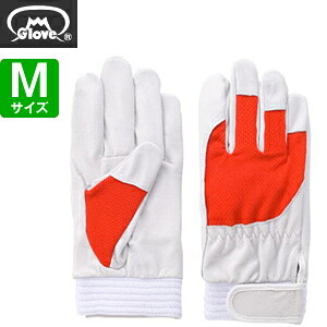 xmO[u  AX[g F-505 ؔNXg bh MTCY[5879] 1o :FG7907