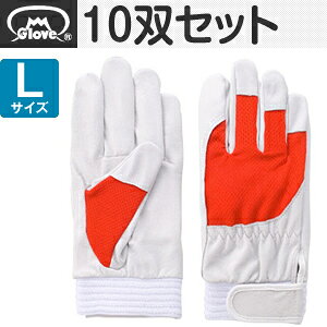 xmO[u  AX[g F-505 ؔNXg bh LTCY[5880] 10oZbg :FG8003