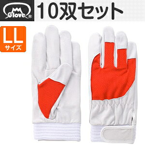 xmO[u  AX[g F-505 ؔNXg bh LLTCY[5881] 10oZbg :FG8102