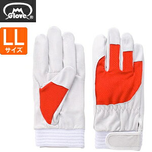 xmO[u  AX[g F-505 ؔNXg bh LLTCY[5881] 1o :FG8102