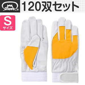 xmO[u  AX[g F-505 ؔNXg CG[ STCY[5882] 1120oZbg:FG8201